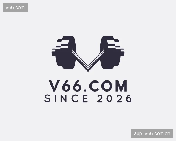 介绍v66.com公司